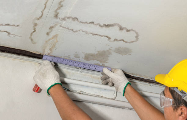 Reliable Water Damage contractor in Coalton, OH by Water Damage Irwin